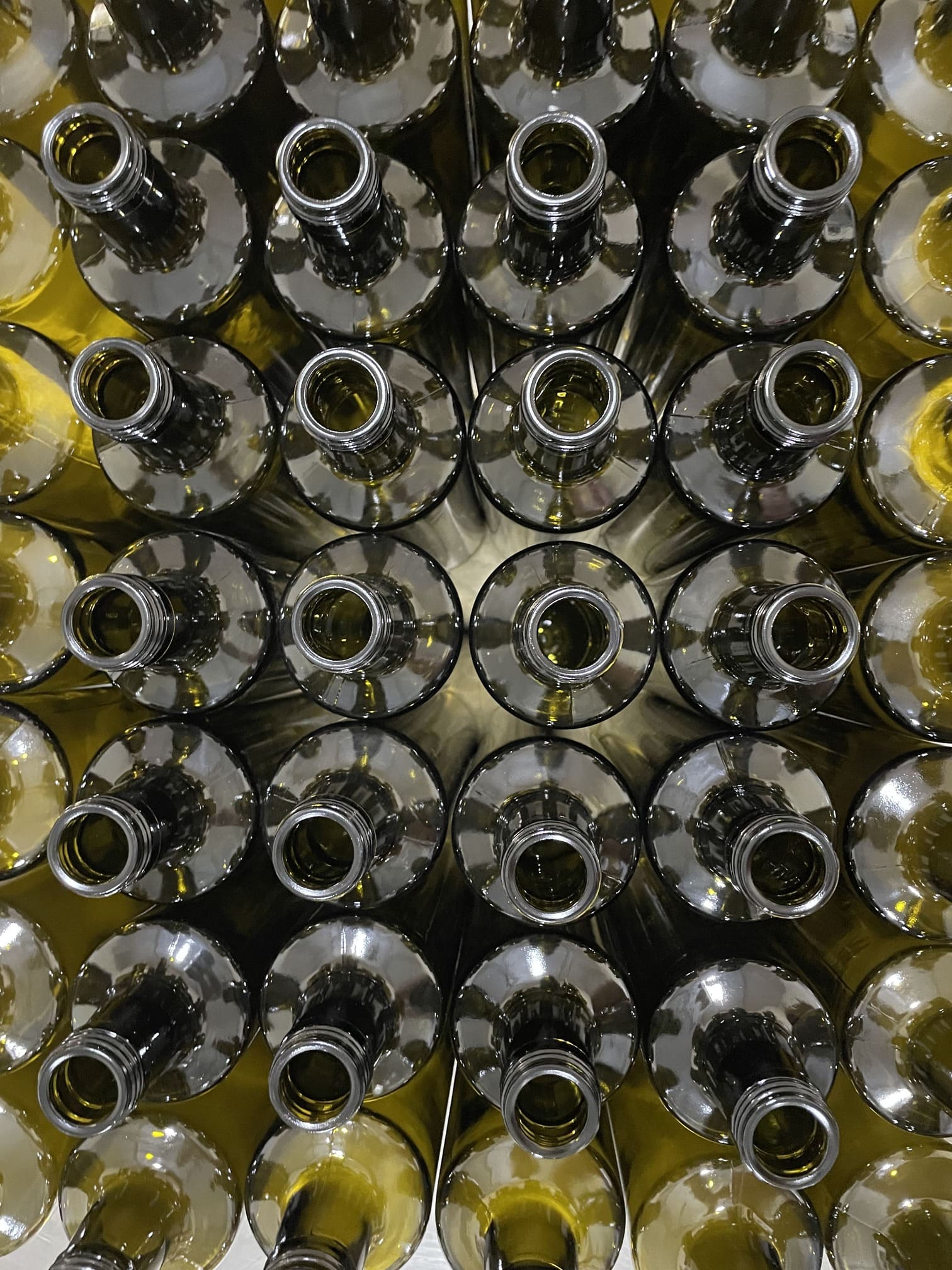 terranea N°1 | Bio-Olivenöl 100 % Manaki organic extra virgin | Griechenland